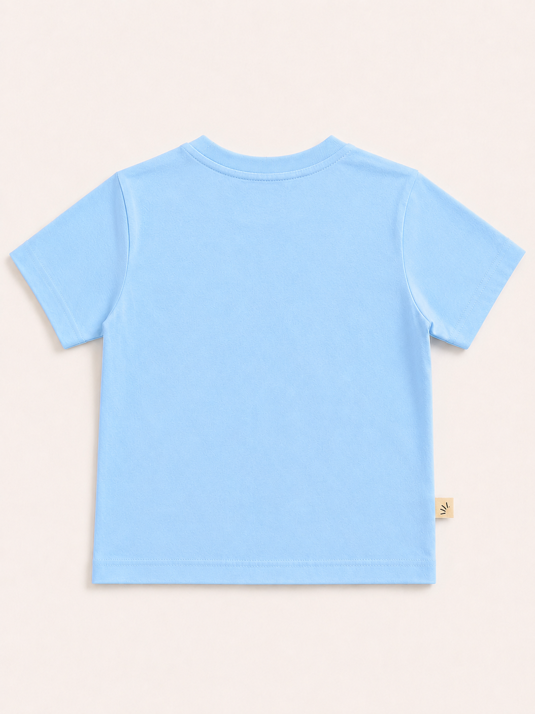 Boys Oversized Basic Premium Cotton T-Shirt – Light Blue