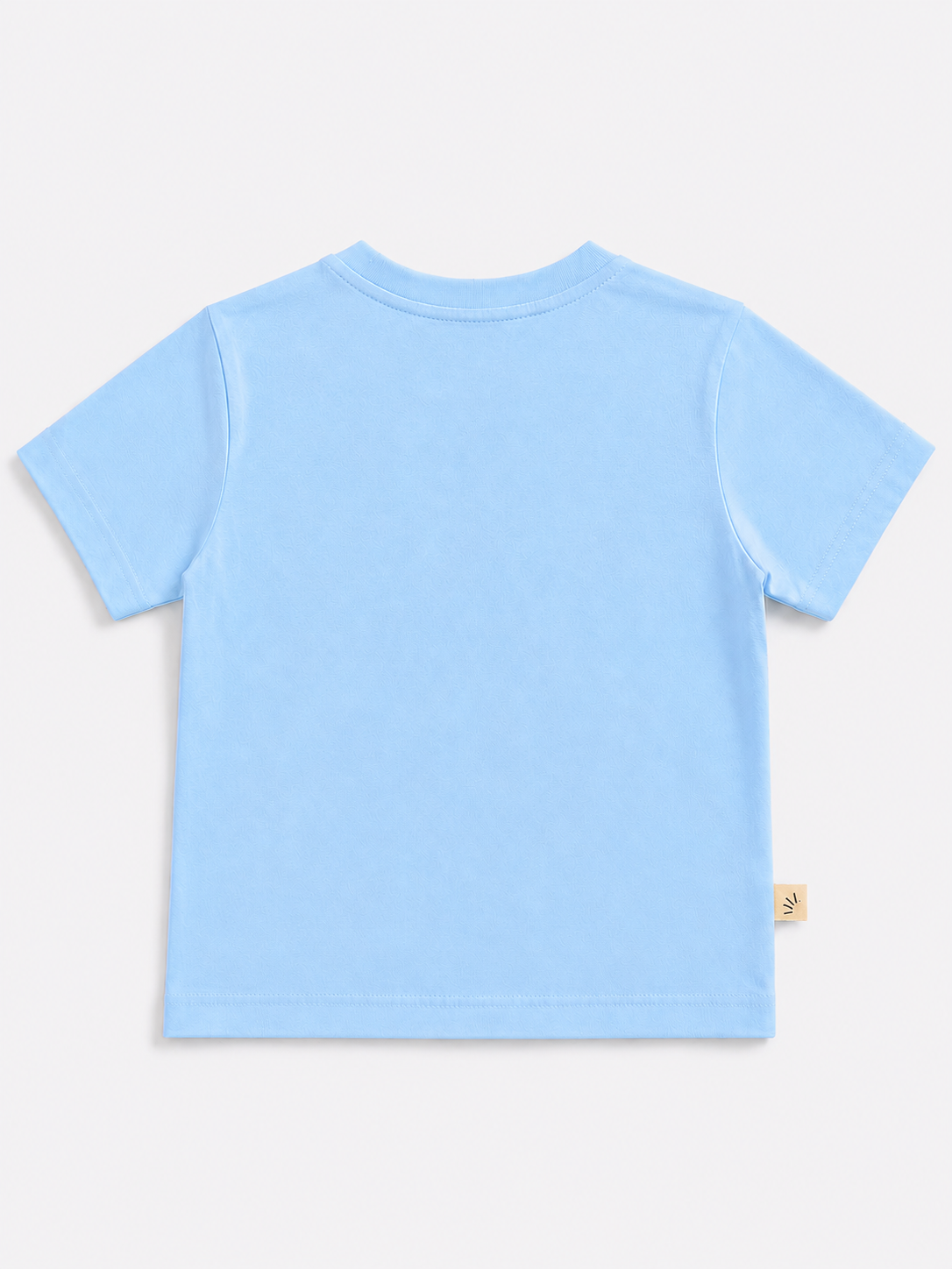 Boys Oversized Basic Premium Cotton T-Shirt – Salty Days Print Light Blue