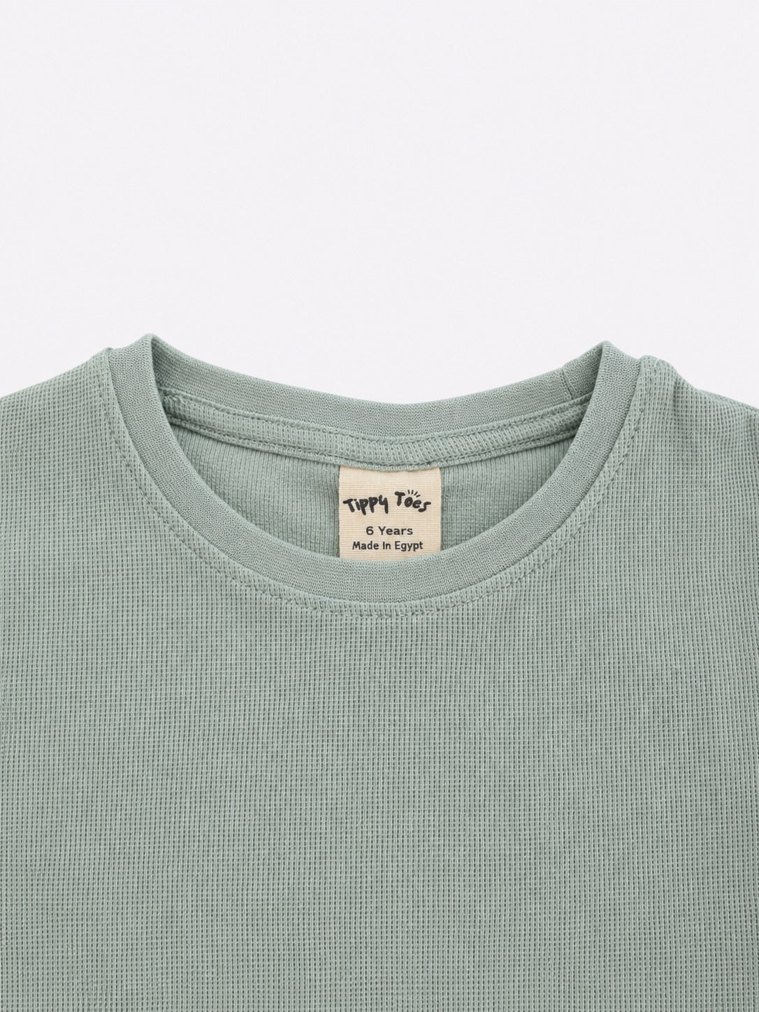Boys Cotton T-Shirt & Shorts Set – Sage Green